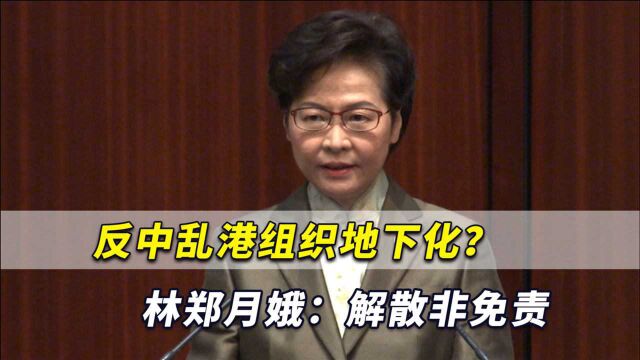 乱港分子纷纷认罪;乱港组织地下化?林郑月娥警告:解散非免责