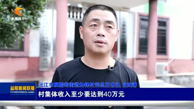 【聚力乡村振兴】沅江先锋村:打造特色苗木产业 年产值超亿元