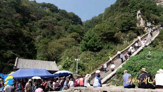 脉动泰山|知识学起来!泰山的6000多级登山盘道为什么叫“十八盘”?