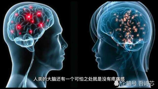 人类被隐瞒的惊人真相(一)