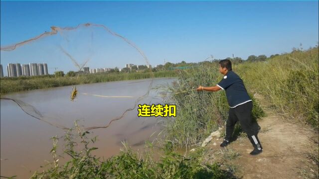 黄河涨水沉沙池放水,小伙轮番撒网扣大鱼,大鱼不少为啥扣不出来