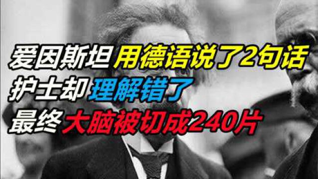 爱因斯坦用德语说了2句话,护士却理解错了,最后大脑被切成240片