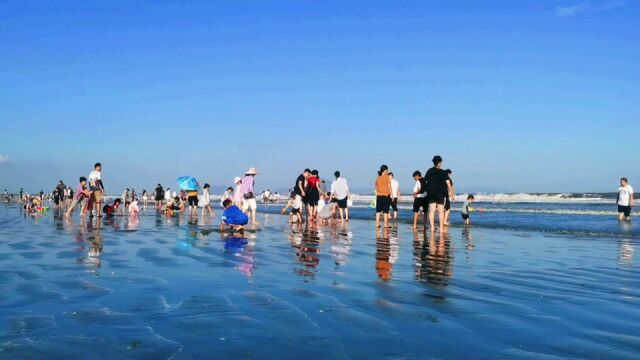 汕尾居然还藏着一处未开发的海滩,美如夏威夷,露营赶海,爽极了