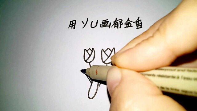 用字母画郁金香,送给你爱的人!