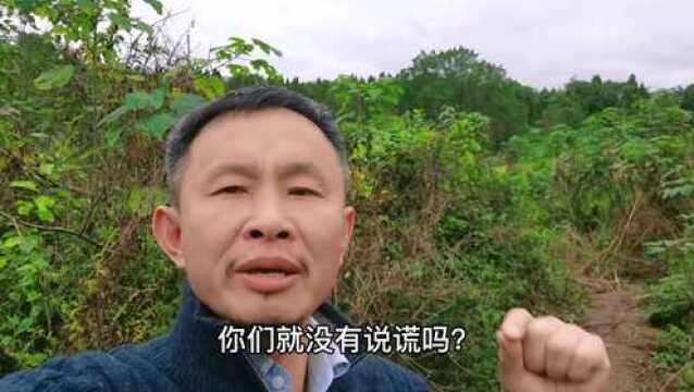 宋祖德一发文,陈中杰立马就要走了,这是为什么呢?