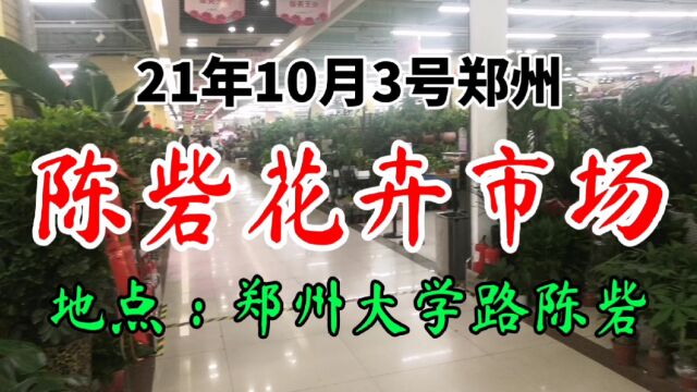 河南省郑州市大学路,陈砦花卉市场,花色繁多空气清新(1)