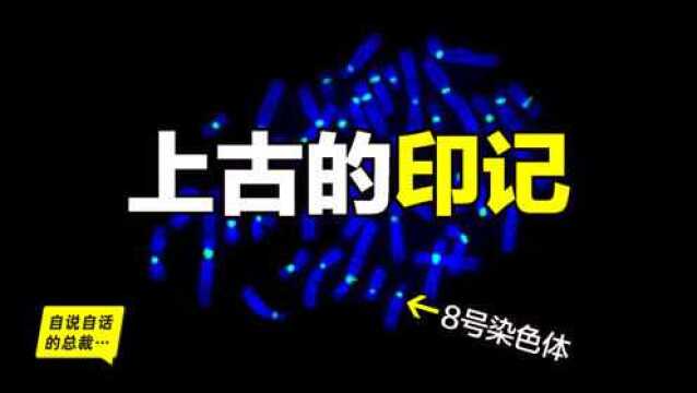 为什么全世界的柠檬都读Lemon?背后是刻在8号染色体的上古故事