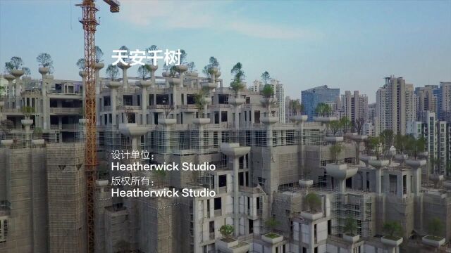 天安千树 | Heatherwick Studio