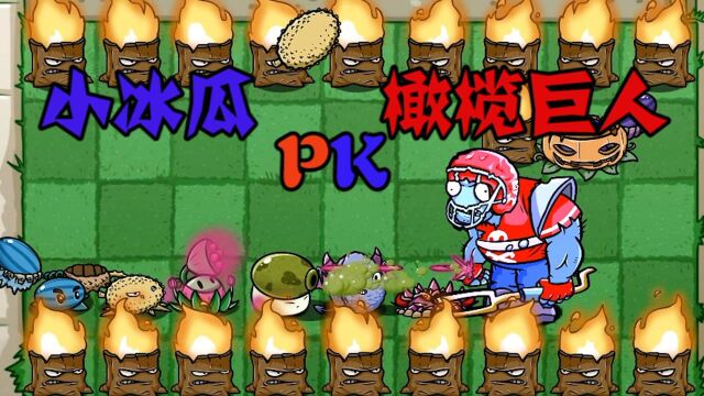 植物大战僵尸!小冰瓜救哥哥!冰瓜PK橄榄巨人