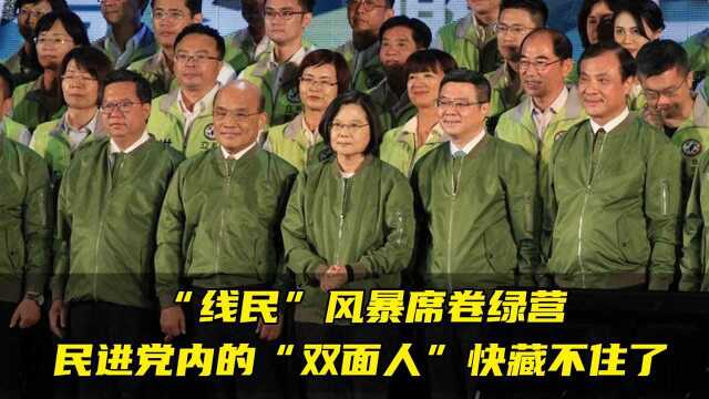 “线民”风暴席卷绿营,民进党内的“双面人”快藏不住了