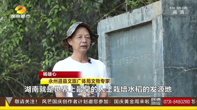 玉蟾岩遗址入选“百年大考古发现” 刷新人类最早栽培水稻历史纪录