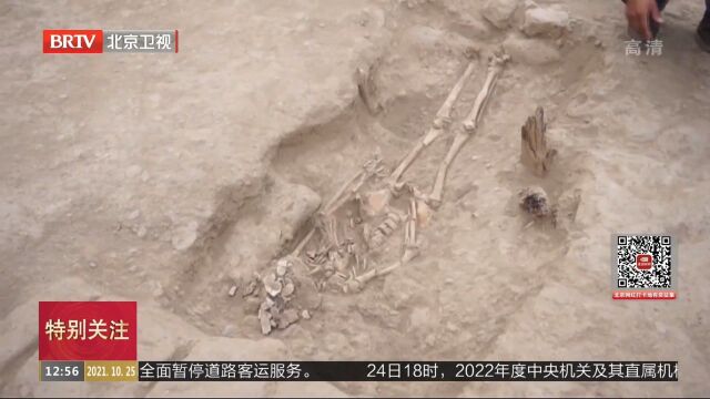 秘鲁发现墓葬群或为研究瓦里文化提供新线索