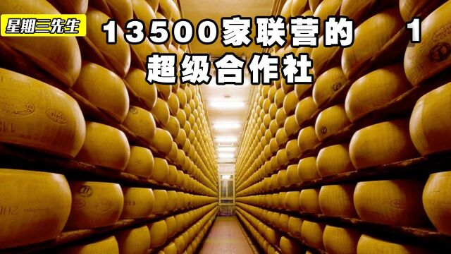 纪录片:探访牛奶工厂,13500家农户联营的合作社,每分钟加工两千升牛奶