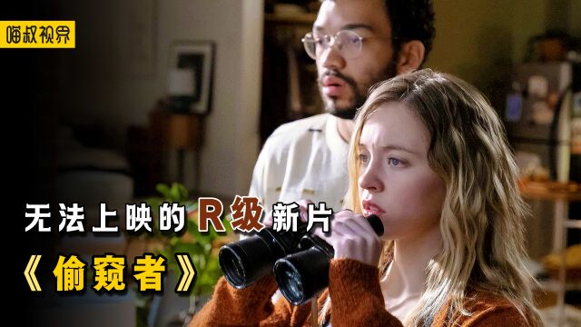 无法上映的最新R级惊悚电影,一场偷窥引发的命案,结局高能反转