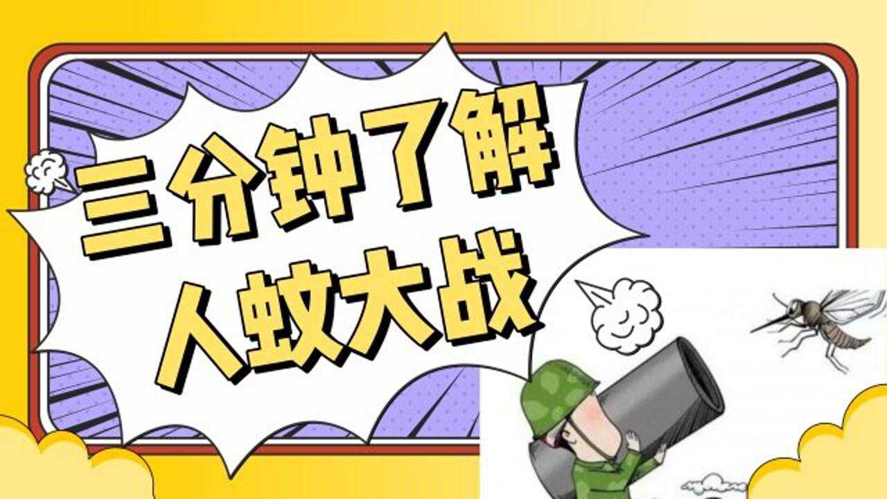 三分钟了解人蚊大战