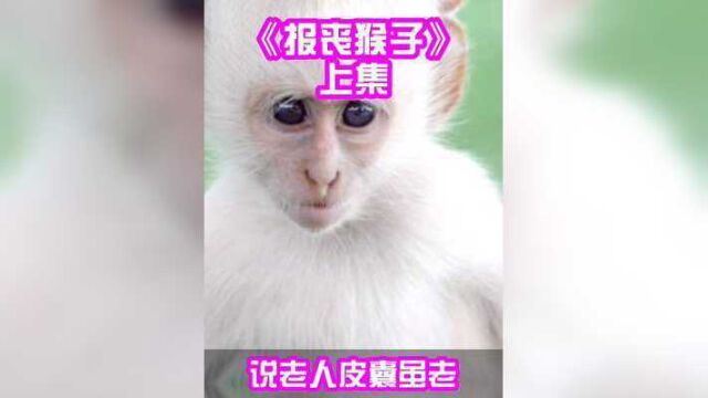 民间故事今天讲猴子