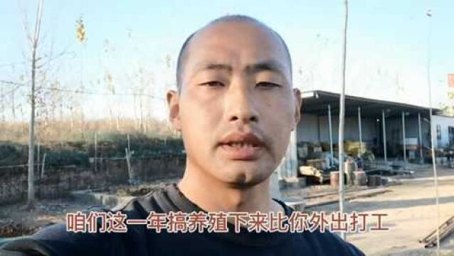 农村小伙不想打工,在家搞特种养殖,也能赚20万,看看养的啥?