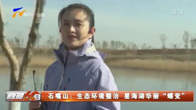 石嘴山:生态环境整治 星海湖华丽“蝶变”