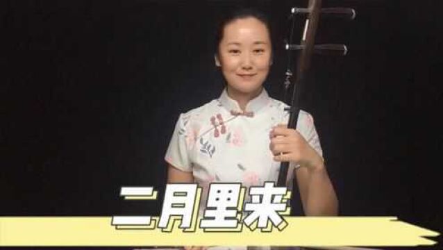 二胡演奏红歌《二月里来》C调26弦