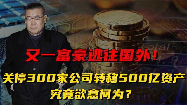 又一富豪逃往国外!关停300家公司转移500亿资产,究竟欲意何为