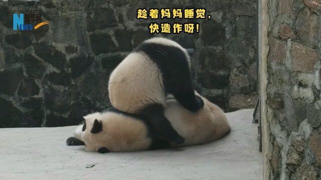 对不起妈妈,是我太调皮了