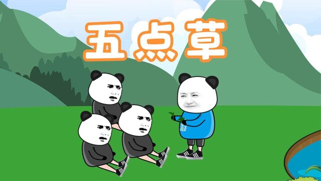 【沙雕动画】小时候的五点草