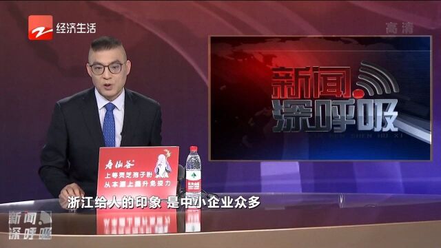 中国跨国企业TOP100浙江拿了一个第一