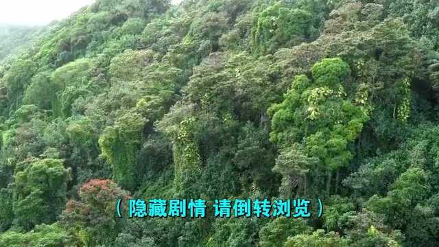 好歌推荐《易烊千玺四字歌》嗯,非常好听