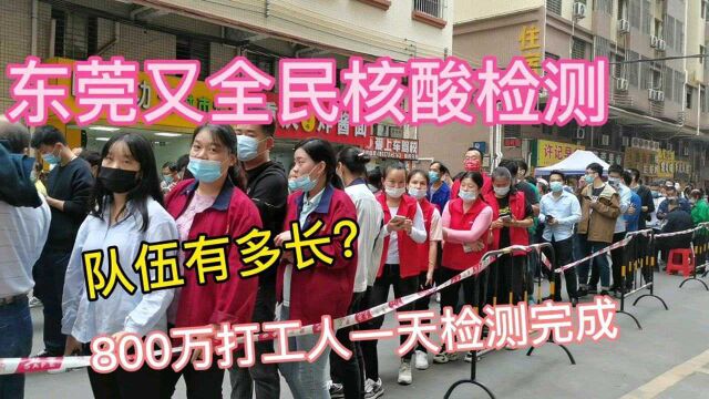 东莞又全民核酸检测测,800多万打工人预计一天完成,历害!