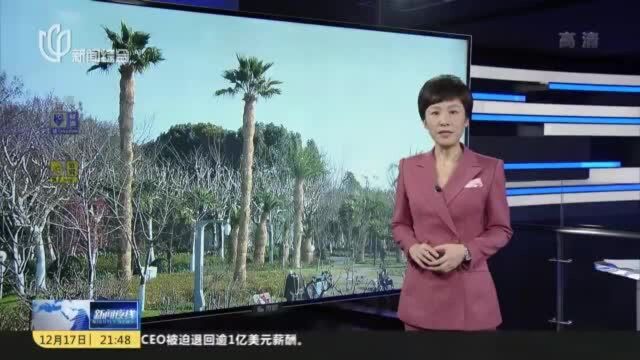 强冷空气来了!明早郊区气温跌破冰点