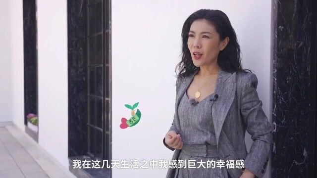 五十公里桃花坞:一句话安利桃花坞?听听他们怎么说的呢?!