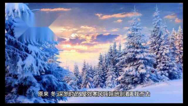 冬天里北方雪景