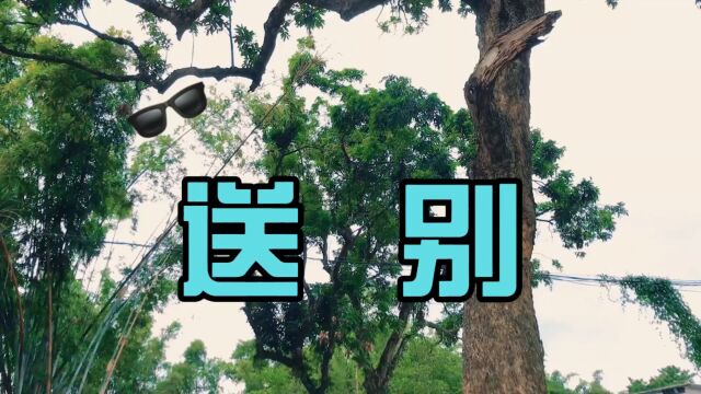 60后阿姨制作歌曲《送别》怀念故去的同事,祝同事老许一路走好