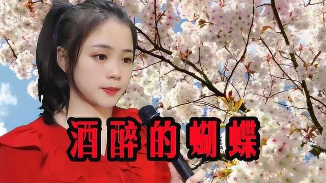 一首经典民谣《酒醉的蝴蝶》蝴蝶为花醉,花却随风飞,太美了