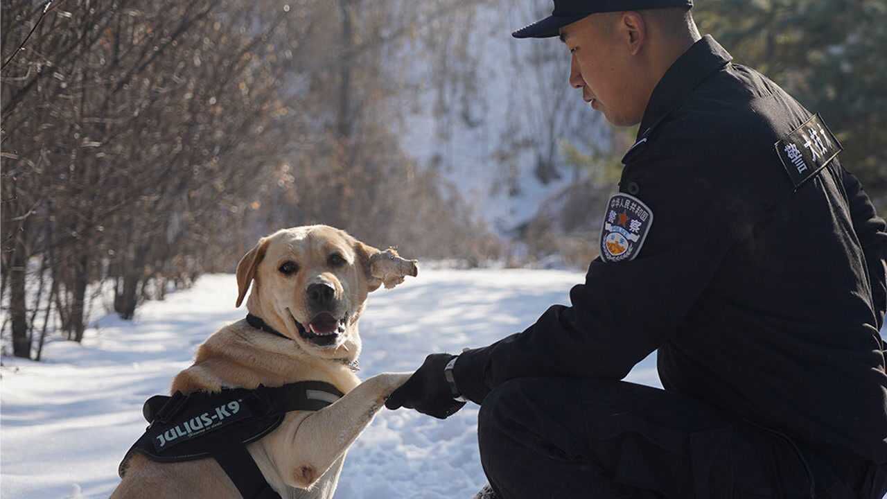 老汪给新兵蛋子上第一课 怎么给警犬拜码头大有学问!