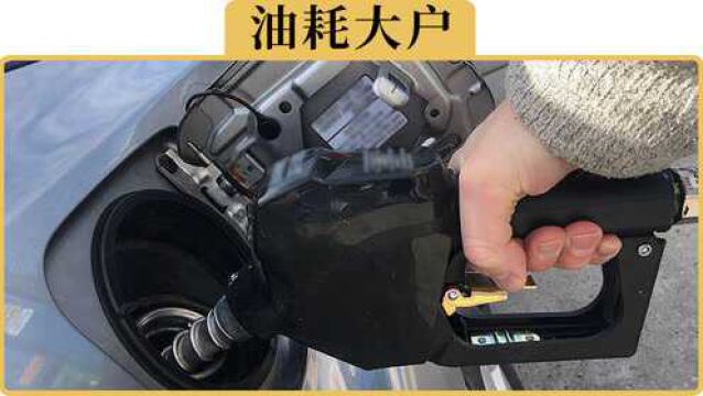 备胎说车:1年差不到1000块,为什么买车还要在乎油耗