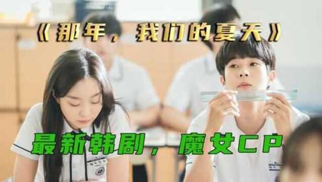 学霸与学渣的故事,超甜韩剧《那年我们的夏天》14