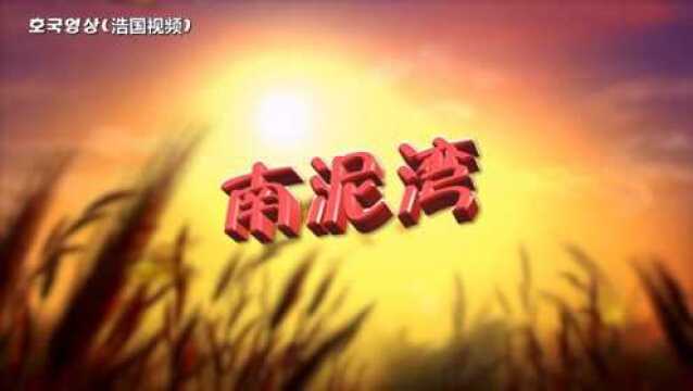 影视歌曲  南泥湾 