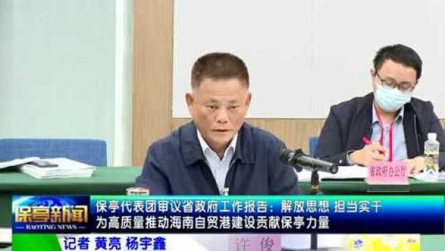 保亭代表团审议省政府工作报告:解放思想 担当实干 为高质量推动海南自由贸易港建设贡献保亭力量