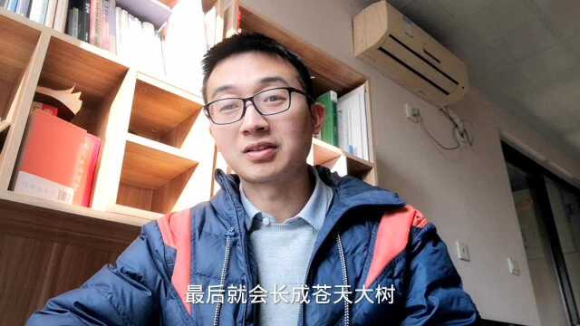 种下什么样的种子,往往就会结出什么样的果实