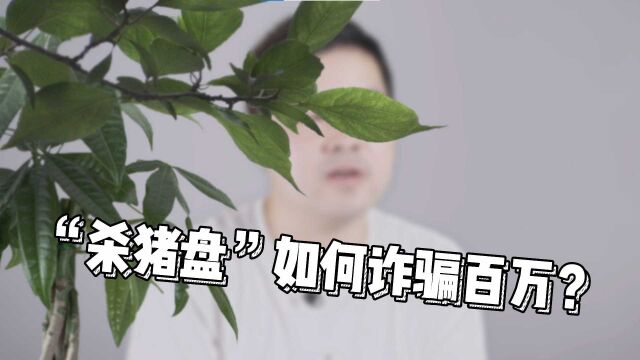 卧底揭秘杀猪盘流程 诈骗百万统共分几步?