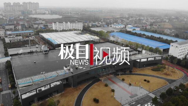 【视频】硬实力靠创新,软实力靠发展环境 湖北一半天制药闯出生物医药领域“一半天”