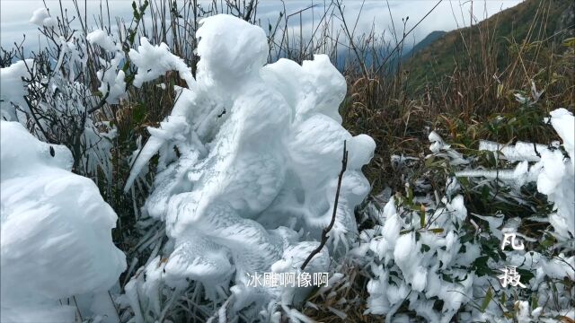 广东河源第一高峰发现奇观,百年难得一见