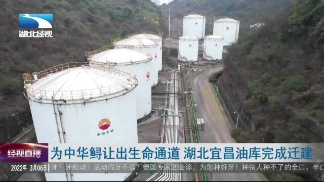 为中华鲟让出生命通道 湖北宜昌油库完成迁建