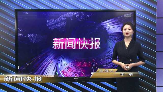 37新闻快报