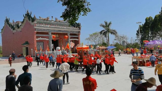 农历二月初八湛江吴川平定余村开光游新,醒狮、神轿绕圈庙三圈