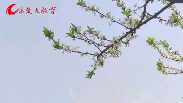 湖北理工学院乡村振兴社会实践基地签约及揭牌仪式