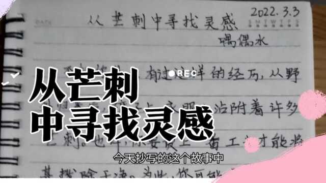 麦斯楚为什么能从身上粘着的芒刺中获得巨大财富而我们却无视呢