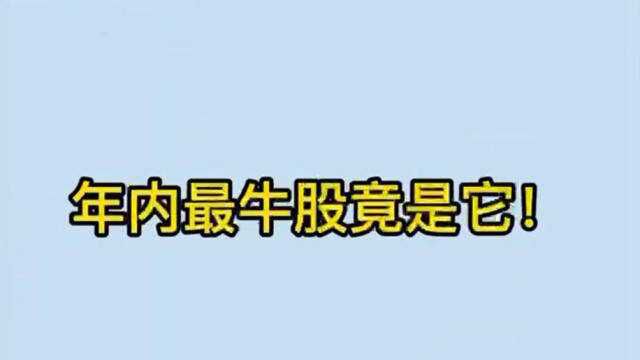 年内最牛股竟是它!你赚到了吗?