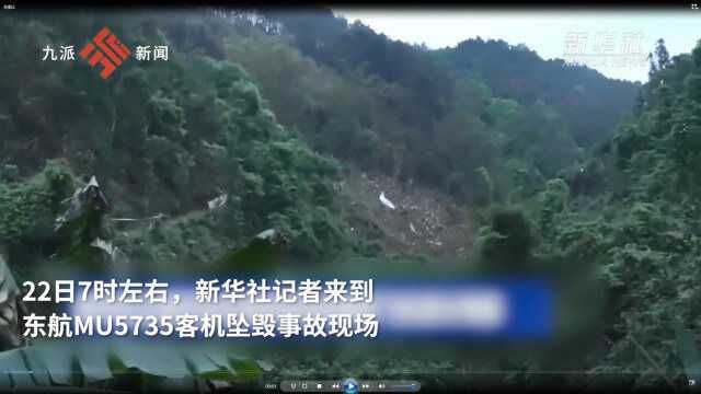 视频|坠机事故现场拍摄到飞机部分残骸 22日7时左右